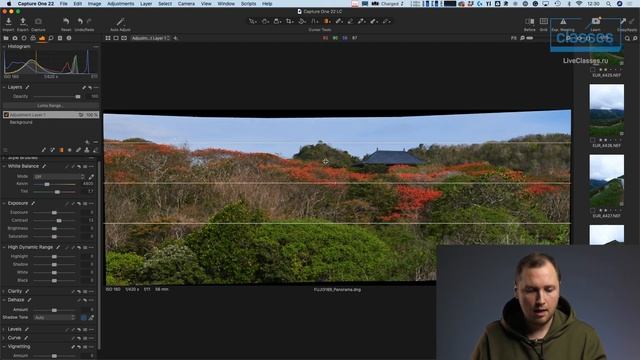 Panorama Stitch. Сборка панорам. Новинки Capture One Pro 22. Александр Свет смотреть онлайн