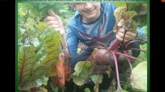 Мой самый долгий и захватывающий агро-эксперимент смотреть онлайн