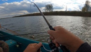 АСТРАХАНСКАЯ РЫБАЛКА В ДЕЛЬТЕ ВОЛГИ. Село Мумра, октябрь 2022 года. Часть седьмая