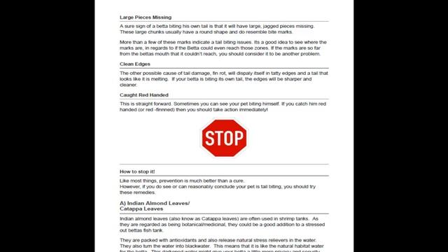 ? Betta Tail Biting Symptoms- ? Claim your Free Betta Tail Biting Prevention PDF Guide!? смотреть онлайн