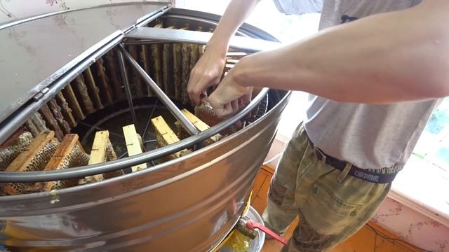 ОТКАЧКА МЁДА, ВСКРЫТИЕ РАМОК ЭЛЕКТРО ФЕНОМ И ЭЛЕКТРО СКРЕБКОМ ИЗ ПАЯЛЬНИКА смотреть онлайн