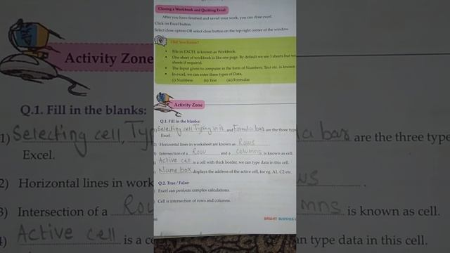 (Chetna) Computer std 7 lesson no 9 Starting with MS Excel 2010 (Activity zone) смотреть онлайн