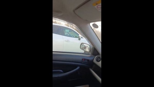 Видеоотчет  по автомобилю Toyota Probox 2019 год выпуска.