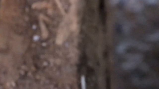 Ваз 2110 Заміна та ремонт стартерів та генераторів смотреть онлайн