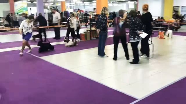 Москва | ПК | 14.12.19 смотреть онлайн