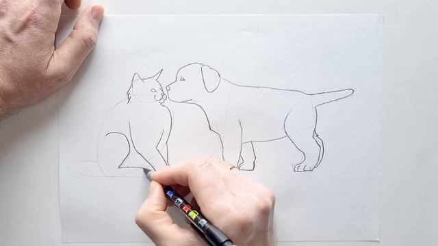 Drawing cat and a dog for Beginners: Pencil Drawing Tutorial for Kids - How to draw a cat and a dog смотреть онлайн