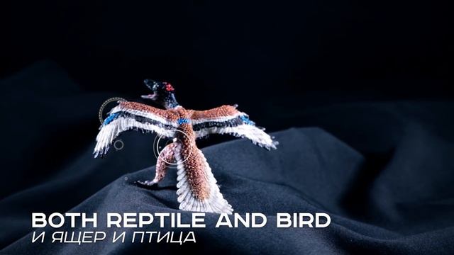 Археоптерикс ⌈ Дино-Профайл ⌋ юрский период \150—147 млн. лет назад\ смотреть онлайн
