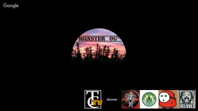 Trichome Chasers Grow Life Stream #43 смотреть онлайн