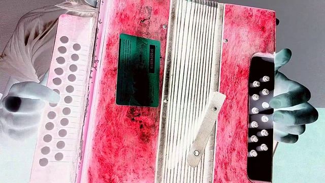 Проходной наигрыш по деревне Коношский район Архангельской области Arkhangelsk region Russia гармон смотреть онлайн