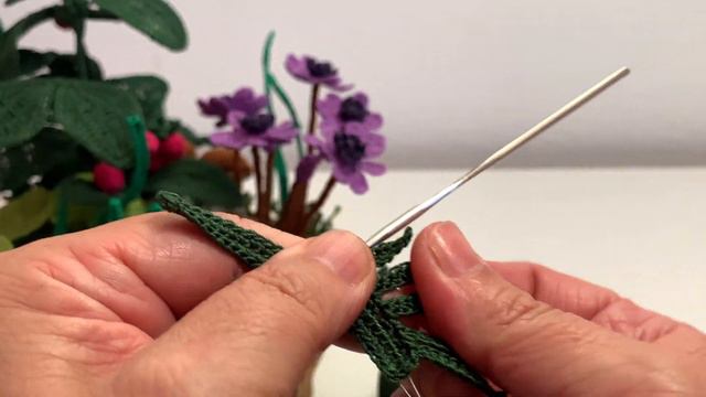 Spiegazione Della Felce All'uncinetto