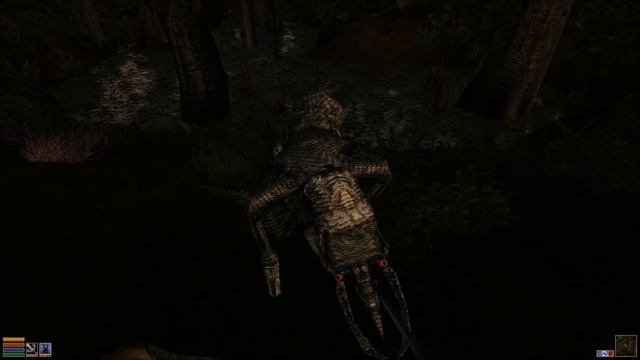 Immersive Let's Play | The Elder Scrolls III - Morrowind | Episode 14 - The Naked Nord