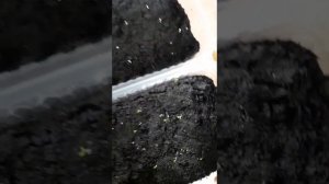 Всходы петунии и циннии. Как посадить циннию и петунию смотрите на нашем канале.