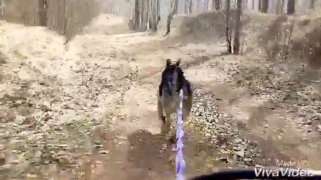 Первый выезд. Байкджоринг. смотреть онлайн
