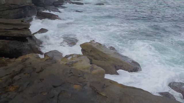 Royal National Park смотреть онлайн
