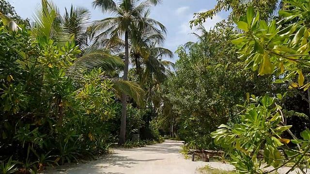 Обзор острова и резорта Furaveri Island Resort & Spa