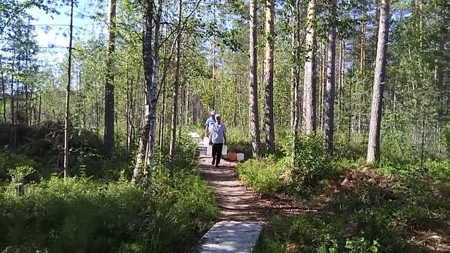 Любимая #дача терапия# смотреть онлайн