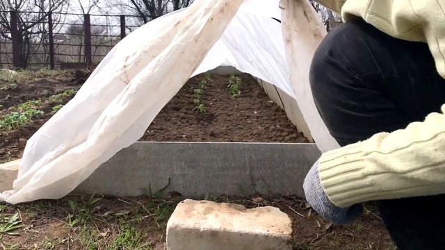 Работы весной на даче  14 апреля