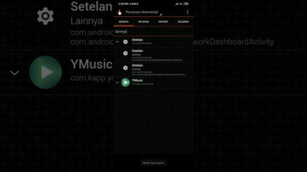 Private DNS Xiaomi Android Pie