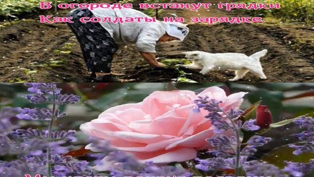1 МАЯ! ПРАЗДНИК ВЕСНЫ И ТРУДА! САДОВОДЫ-ДАЧНИКИ! МУЗЫКАЛЬНОЕ ПОЗДРАВЛЕНИЕ. смотреть онлайн