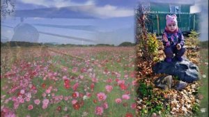 Посмотри,как хорош,мир в котором ты живешь!.