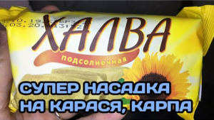 ТЕСТО ДЛЯ РЫБАЛКИ ИЗ ХАЛВЫ. ЛУЧШЕЕ ТЕСТО НА КАРАСЯ, КАРПА, БЕЛОГО АМУРА