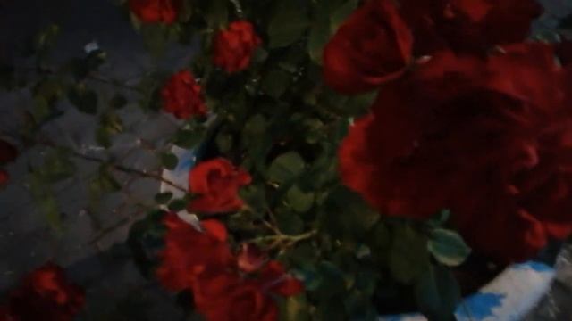 Via dei Fori Imperiali a Roma / Улица Императорских форумов в Риме. смотреть онлайн