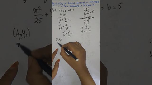 12th Maths Chapter 5 Exercise 5.5 problem 2 Samacheer State board Tamil English medium смотреть онлайн