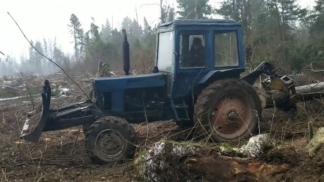 Валка леса, трелёвка леса. Трелюем лес,,,, поломался трактор ?,,, telling the forest,,, Walz week.. смотреть онлайн
