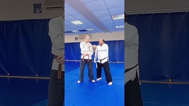 синтэн-рю айкидзюдзюцу, принципы контроля (2)