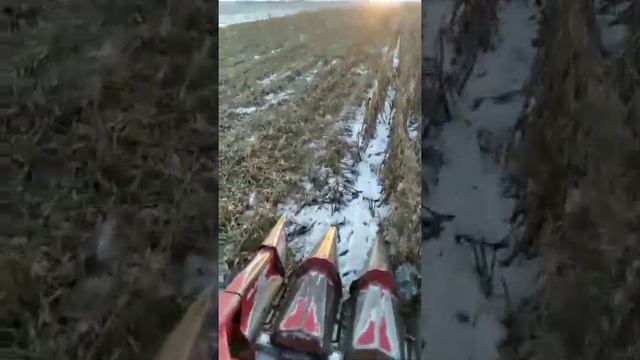 Клас Доминатор 108 смотреть онлайн