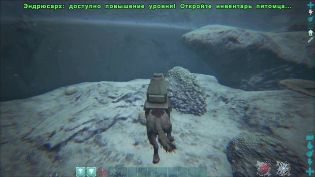 Арк 5 интересных фактов на карте Fjordur! Ark: Survival Evolved | Soowin | смотреть онлайн
