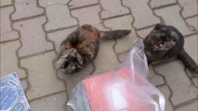 Ремонт двигателя авто Хендай Старекс Н-200, не заводится ваз 2115, замена колес. смотреть онлайн