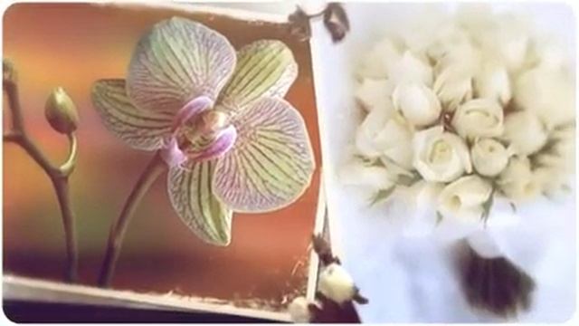 переделанные поздравления с днем рождения смотреть онлайн