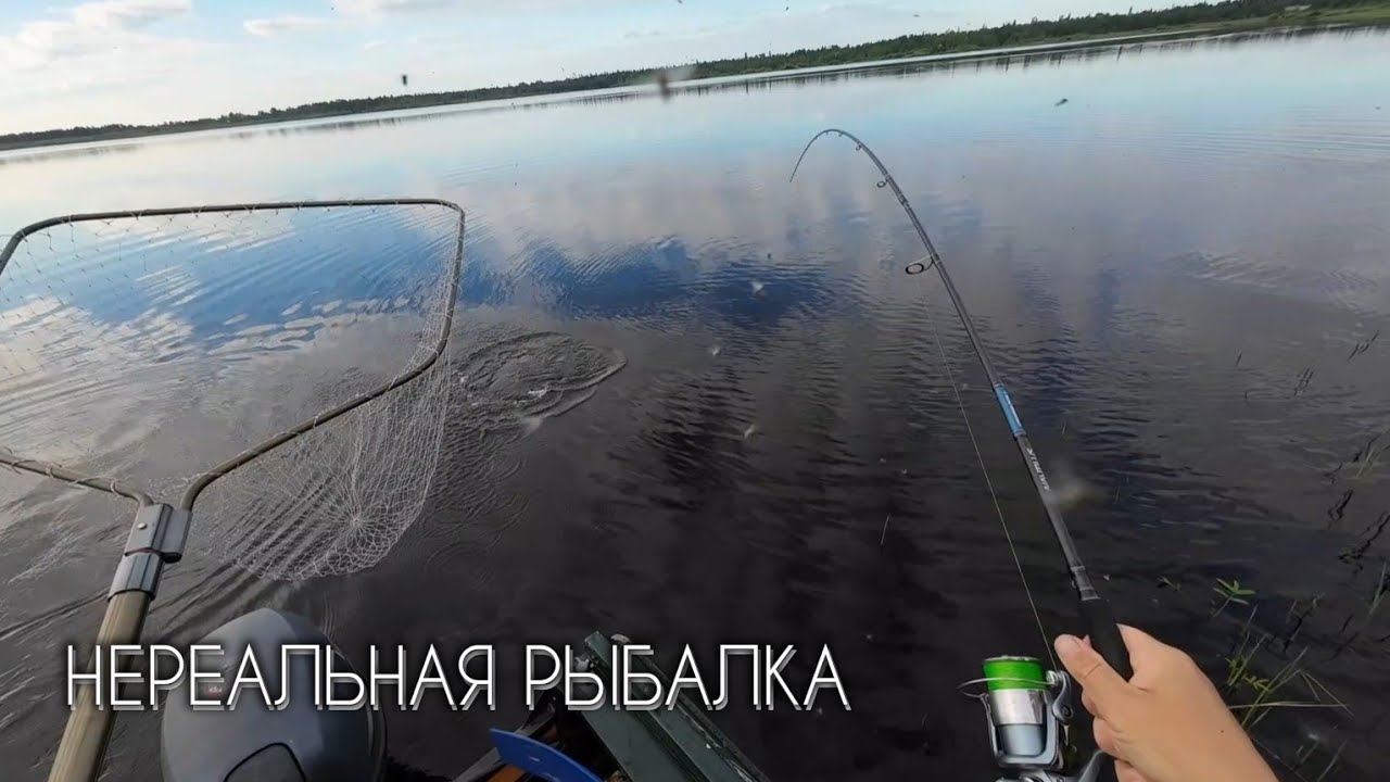 Нереальная рыбалка или что могло пойти не так #рыбалка #щука #спиннинг #fishing #pike #pikefishing