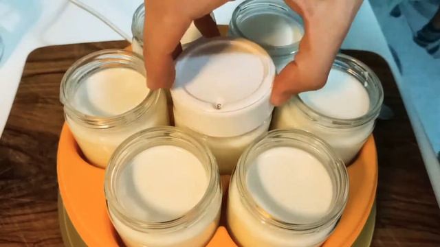 Como Usar La Yogurtera Como Hacer Yogures Con Un Yogur Natural O Griego