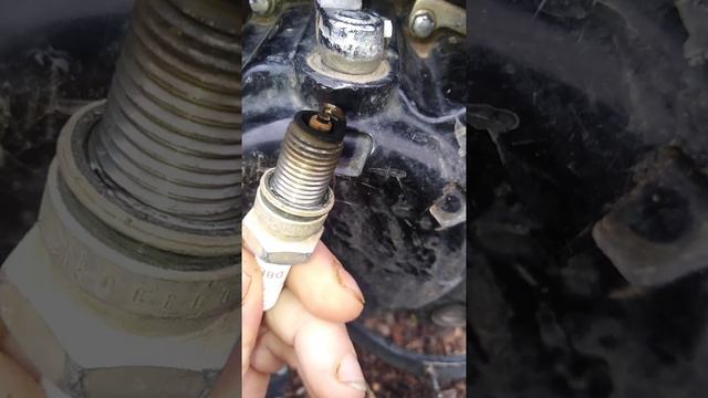 racer panther 300 свеча наконец то не черная))).....пробег 400+км с отчистки свечи смотреть онлайн
