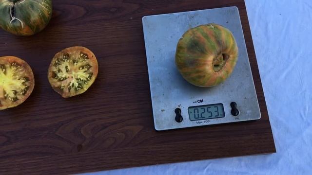 Томат собственной селекции КУРАЖ смотреть онлайн