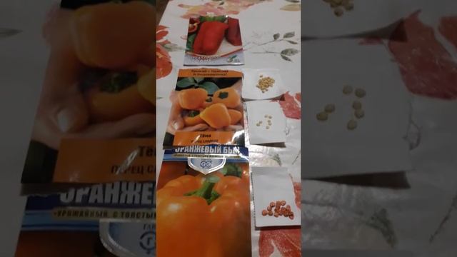 Посадка болгарского перца/Отличные сорта болгарского перца!!! смотреть онлайн