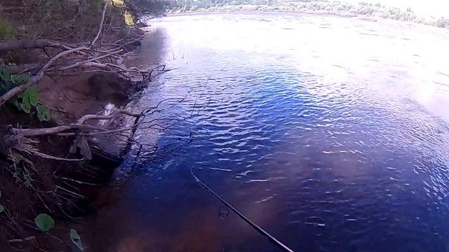 МЕГАКОНКУРС! Разыгрываем ОФИГЕННЫЙ спиннинг! Отличный клёв на UL - Болен Рыбалкой №549 смотреть онлайн