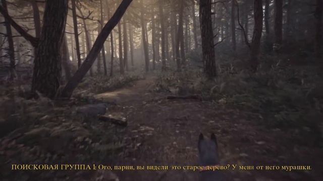 ИДЁМ В ЛЕС НА ПИКНИК Blair Witch #1 смотреть онлайн