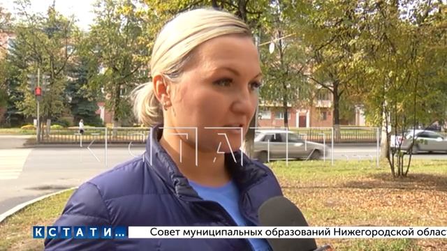 Лиса загнала мальчика на дерево и не давала ему спуститься пока не подоспела подмога с вилами смотреть онлайн