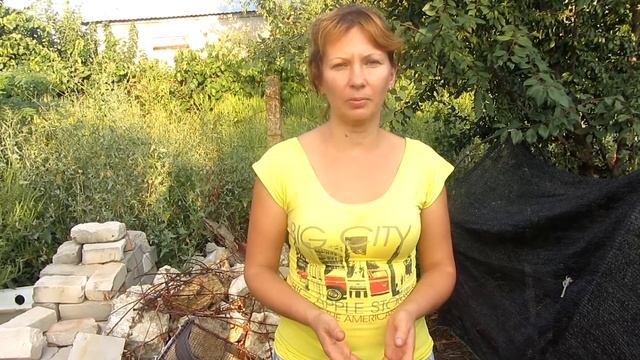 Правильный уход за огурцами в период второй посадки смотреть онлайн