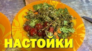 НАСТОЙКИ. ПЬЯНАЯ ВИШНЯ И ФРУКТОВОЙ ВИСКИ. High Spirits