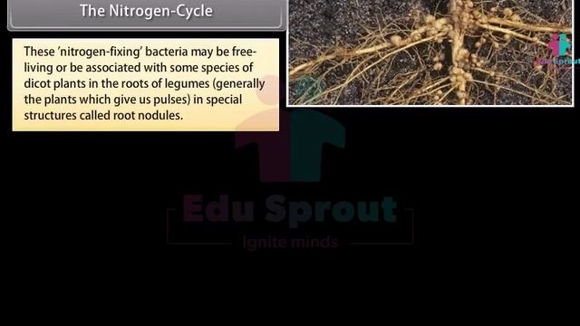 ? CBSE Syllabus Class 9 SCIENCE Lesson 16 - Natural Resources - Part 2 | CBSE | NCERT | State Board смотреть онлайн