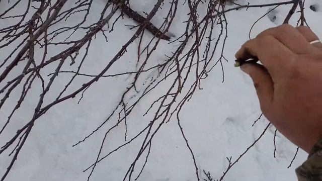 Густера горячего копчения смотреть онлайн