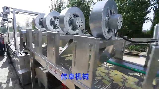 Линия для производства натуральных чипсов (Китай) смотреть онлайн