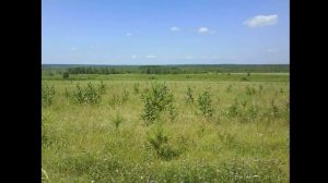 Башкортостан - мой край родной!