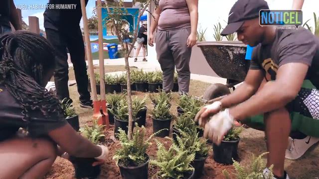 Habitat For Humanity entrega nueva residencia a joven madre смотреть онлайн