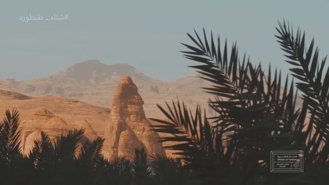 Yanni: AL-`ULA - What a beautiful dream! смотреть онлайн