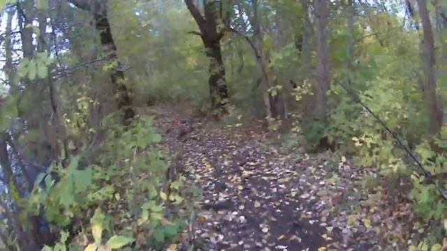 Старый Оскол. Земснаряд на м-не Звёздный. Спиннинг, микроджиг, ультралайт, окунь. смотреть онлайн